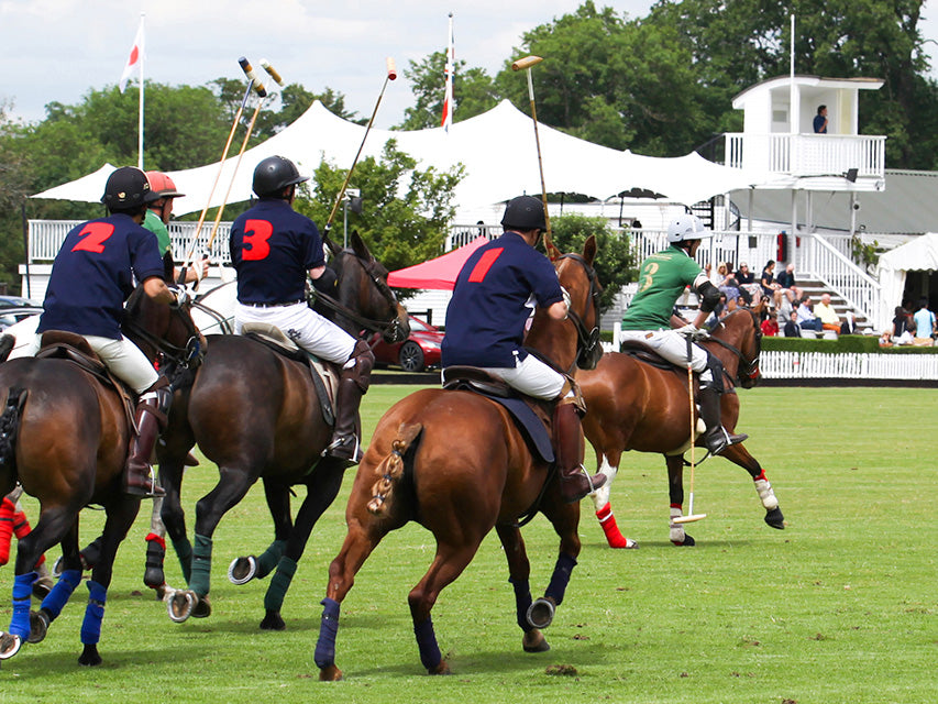 POLO GAME & HAM POLO CLUB – POLO BCS